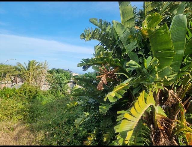 893M² VACANT LAND FOR SALE IN DANA BAY